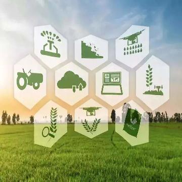 免烫高支棉条纹衬衣